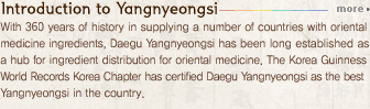 Introduction to Yaknyeongsi