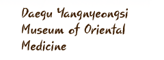 Daegu Yangnyeongsi Museum of Oriential Medicine