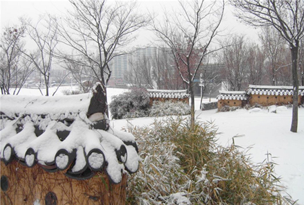 두류공원 겨울사진4