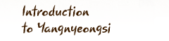 Introduction to Yangnyeongsi